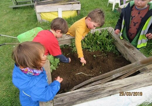 Forest School