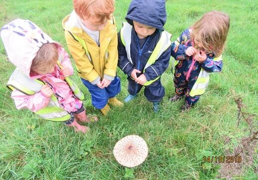 Forest School